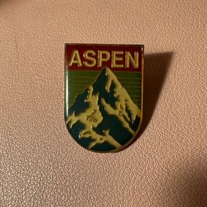 Brandy Melville Aspen Pin